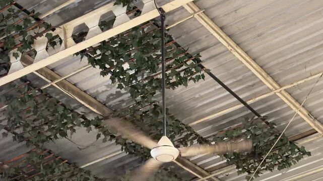 Rotating Ceiling Fan under Corrugated Metal Roof with Copy Space 4K