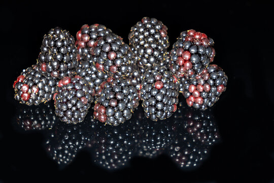 Brombeeren
