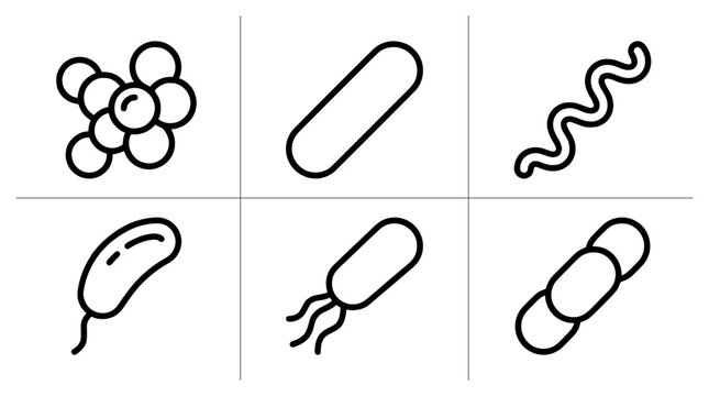 Bacterial shapes line icons set with coccus, bacillus, spirillum, vibrio and diplococcus for science and health