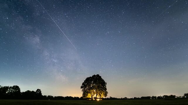 Starry night sky timelapse. Milky way rising over night field with tree