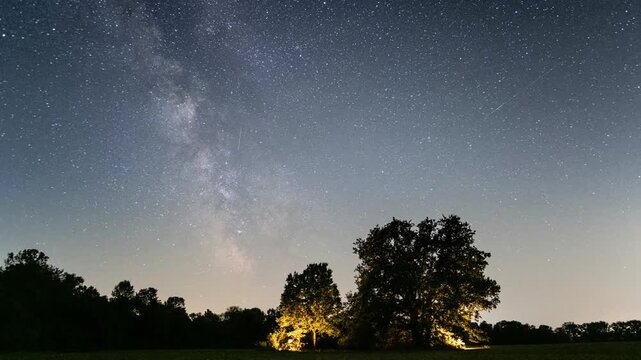 Starry night sky timelapse. Milky way rising over night field with tree