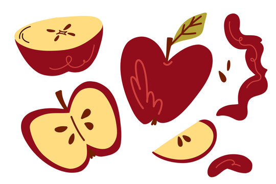 Red Apples, Apple Slices and Seeds in a Bold Hand Drawn Fruit Illustration, Sweet Autumn Food Artwork for Recipe Books, Healthy Eating Projects, Food Packaging, Posters and Seasonal Design