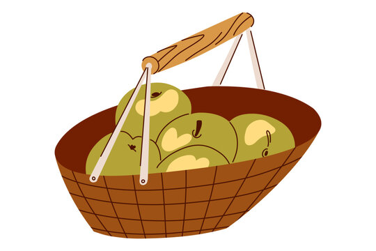 Hand Drawn Wicker Basket Filled with Green and Yellow Apples, Fresh Autumn Harvest Illustration for Farm Market Branding, Healthy Food Packaging, Cookbooks and Rustic Kitchen Decor