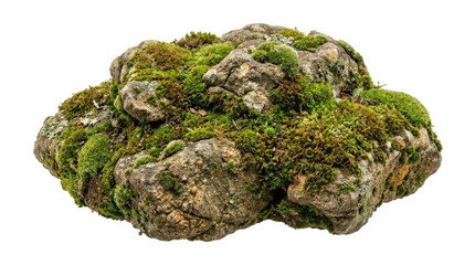 Natural mossy stone isolated on a white background for landscape design and garden decoration © Peter