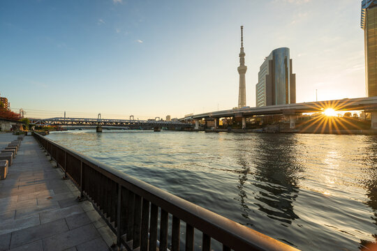 Sumida Park riverside walk at sunrise with Tokyo Skytree tower skyline. Sumida, Tokyo, Japan.