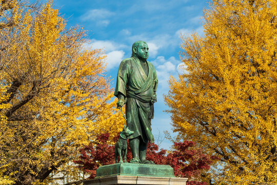 Saigo Takamori bronze statue with dog surrounded by autumn ginkgo trees in Ueno Park. Taito, Tokyo, Japan.