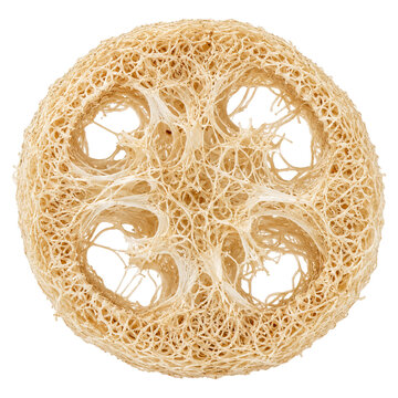 Circular loofah sponge texture with intricate natural fibers