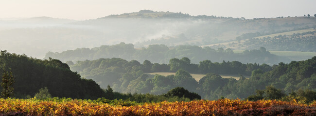 Fototapeta premium Beautiful landscape image over Stanton Moor in Summer Heather sunrise