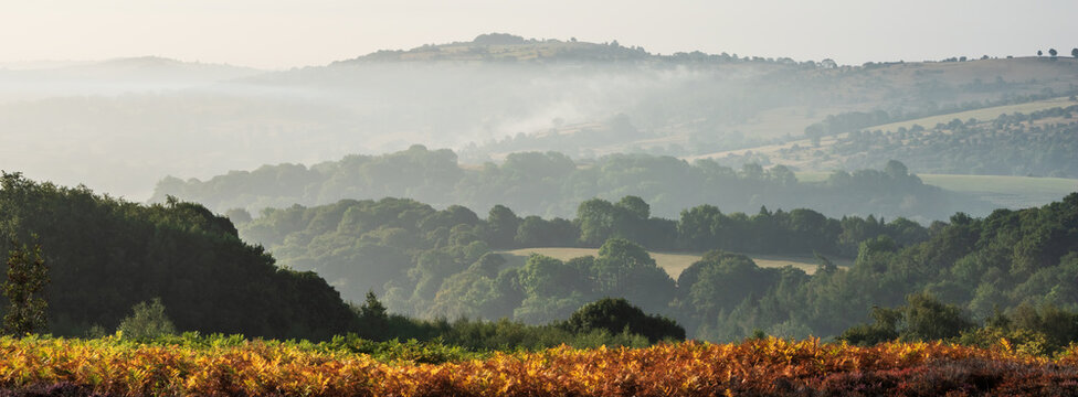 Beautiful landscape image over Stanton Moor in Summer Heather sunrise