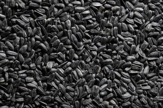 Black sunflower seeds texture organic background, top view. Full frame organic seeds background for healthy snack food concept, oil production and agricultural design