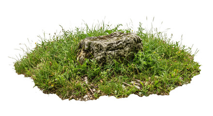 Natural stone boulder sitting in a patch of wild green grass isolated on a white background © Ophelia