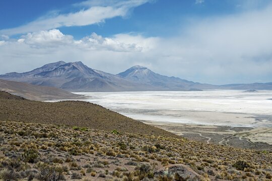 Salt lake, Salar de Surire Natural Monument, Region Arica y Parinacota, Northern Chile, Chile