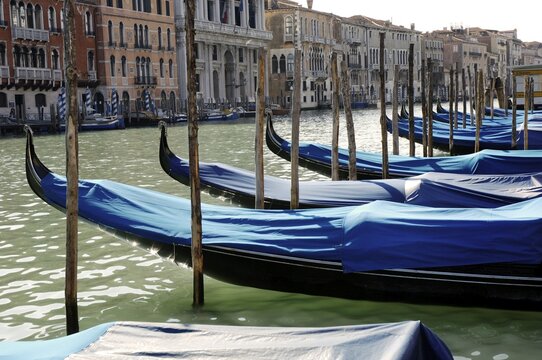 Blue covered gondolas at Canale Grande in Venice Italy