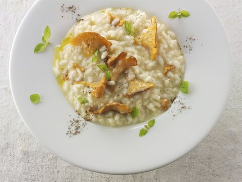 Risotto, chanterelle or girolle mushrooms (Cantharellus cibarius), sauteed in butter and herbs