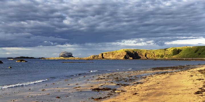 Natural coast on Firth of Forth, North Berwick, East Lothian, Scotland, Great Britain