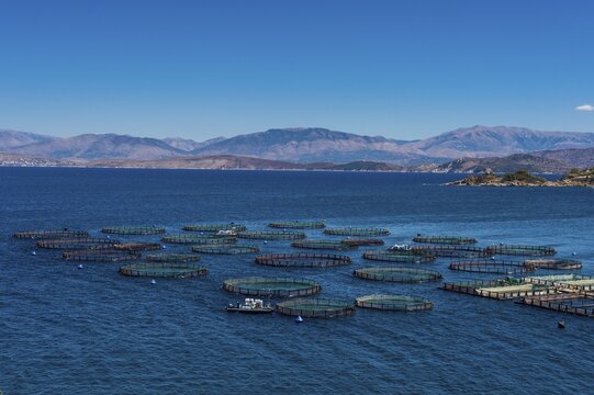 Fishfarm in Kassiopi, Corfu, Ionian Islands, Greece