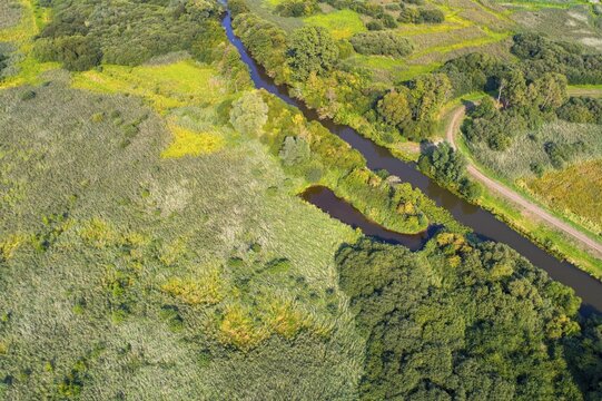 Aerial view of Lake D&uuml;mmer, nature reserve, reeds, shore, influence of the Hunte, river, Ochsenmoor, H&uuml;de, Lower Saxony, Germany