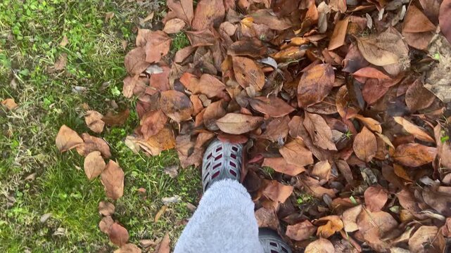 Shoes crunch through fallen leaves as person walks across grass in autumn. First person perspective tracks steady steps, with brown foliage rustling underfoot during peaceful nature stroll.