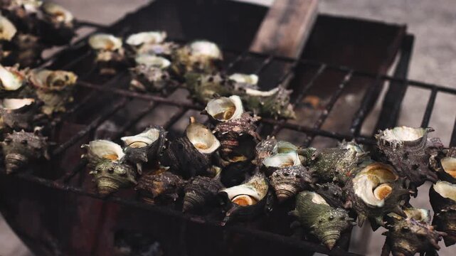 Fresh seafood caught by Korean haenyeo divers, Jeju island, Jeju-do, South Korea, horned turban shells (Turbo cornutus, sora), abalone, sea cucumber and sea squirt on plates and grilled on charcoal
