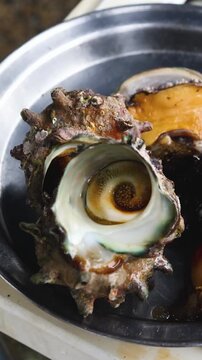 Fresh seafood caught by Korean haenyeo divers, Jeju island, Jeju-do, South Korea, horned turban shells (Turbo cornutus, sora), abalone, sea cucumber and sea squirt on plates and grilled on charcoal
