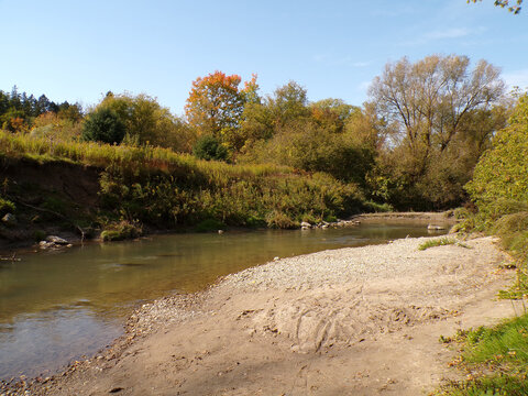 Fall landscape with trees and river