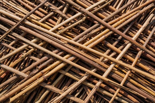 Bundle of dried reed stalks for traditional roof thatching. Natural straw material pile for eco building garden fence construction. Close up texture of organic plant stems used for rustic cottage