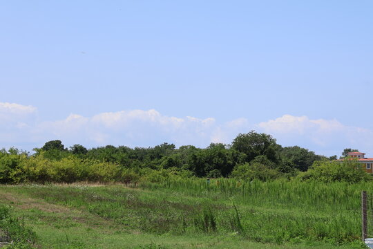 An idyllic landscape photograph of a country meadow on a clear summer day with apiaries for beekeeping.