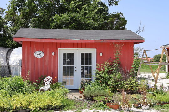 A small bright red garden house on a warm summer day surrounded by flowers.