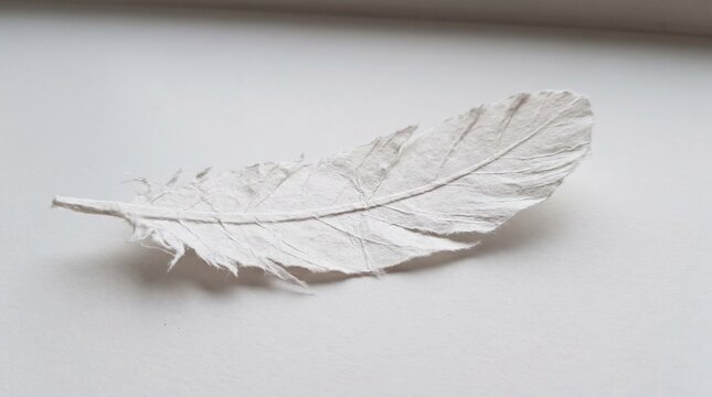 White paper feather cutout isolated on a plain minimalist background