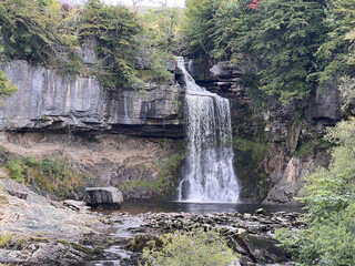 Waterfall cascading into rocky pool surrounded by lush green forest © AnyaWhy