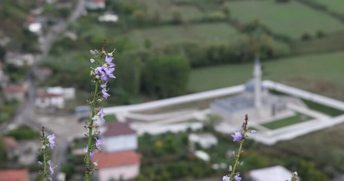 Mise au point des campanules vers une mosqu&eacute;e &agrave; Shkod&euml;r