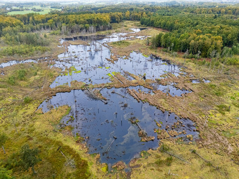High-angle drone view of Store Maglemose in Denmark, showcasing the expansive restored peat bog from a wider perspective. The large, dark reflective water pools and scattered dead trees are surrounded