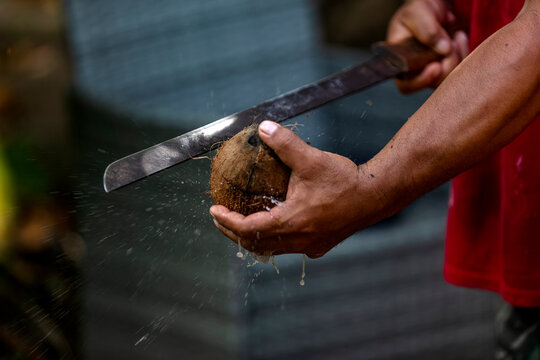 couper la noix e coco avec la machette