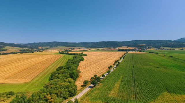Fields divided by a tree belt in Slovakia. A strip of leafy trees separates cut farmland from green crops beneath a cloudless blue sky.