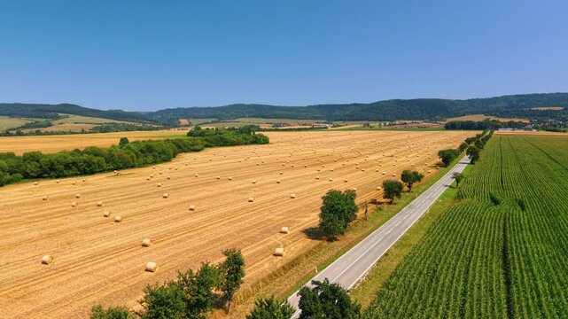 Straw bales and rural road between fields in Slovakia. Cylindrical bales cover a harvested field beside crop rows, roadside trees and low wooded hills.