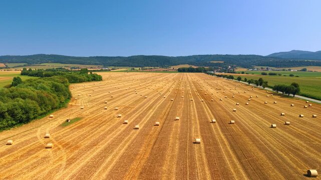 Straw bales across a harvested field in Slovakia. Crop stubble forms converging lines toward distant hills, with trees bordering the farmland.