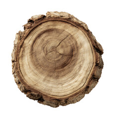 Fototapeta premium PNG Close-up of tree trunk cross-section with growth rings.