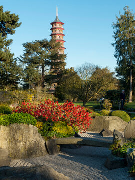 Europe, UK, England, London, Kew Gardens Japanese garden