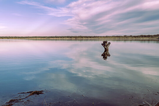 We are witnessing a beautiful sunrise at Laguna Las Moras in San Luis, Argentina. The composition features an old, dead tree set against a range of artistic colors, creating an apocalyptic style.

