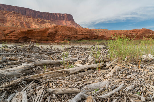 Colorado River at Rocky Rapid above Moab, Utah