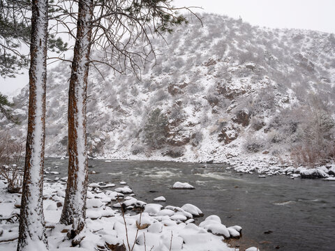 mountain river in heavy spring snowstorm - Poudre River in northern Colorado