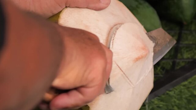 A detailed close-up stock footage shot capturing a person's hands meticulously chopping into the husk of a fresh young green coconut using a heavy-duty, sharp cleaver blade.