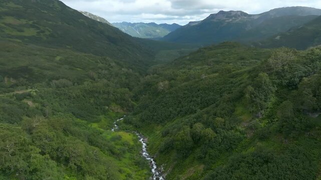 Drone footage shows a scenic river flowing through a lush green valley in Kamchatka Krai, surrounded by wild volcanic mountain slopes and untouched nature on a cloudy day in Russia