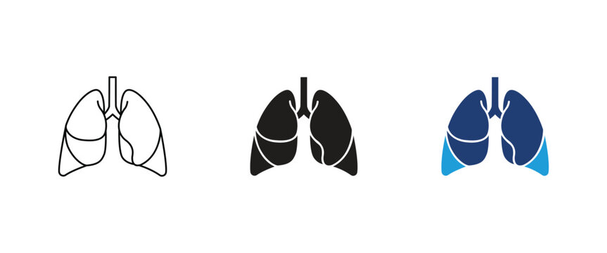 human lungs icon set, respiratory system organ vector illustration, pulmonology medical symbol, internal organ icon design, healthcare vector