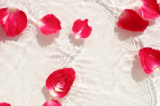 Red rose petals floating on crystal clear rippling water.