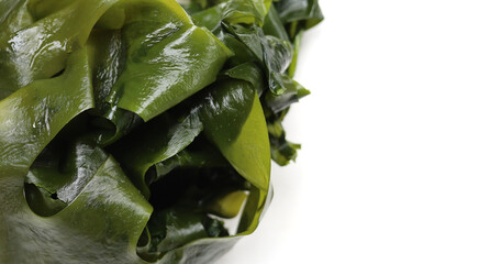 Fresh green wakame seaweed on a white background. © Bowonpat