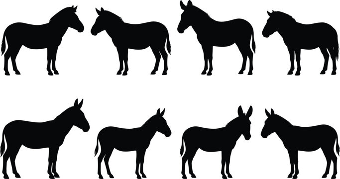 Donkey and mule animal silhouettes collection isolated on a clean white background