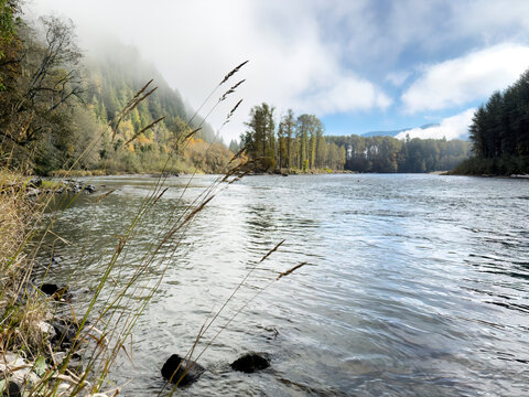 Morning with the fog clearing on the Skagit river in the Cascades of Washington state during a fishing day in mid fall season