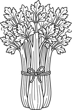 Line drawing of a fresh bunch of celery with leafy stalks tied together vegetable ingredient illustration monochrome nutrition culinary