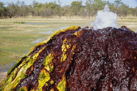 The Burketown Bore is a historic, continually flowing artesian hot spring in QLD Australia